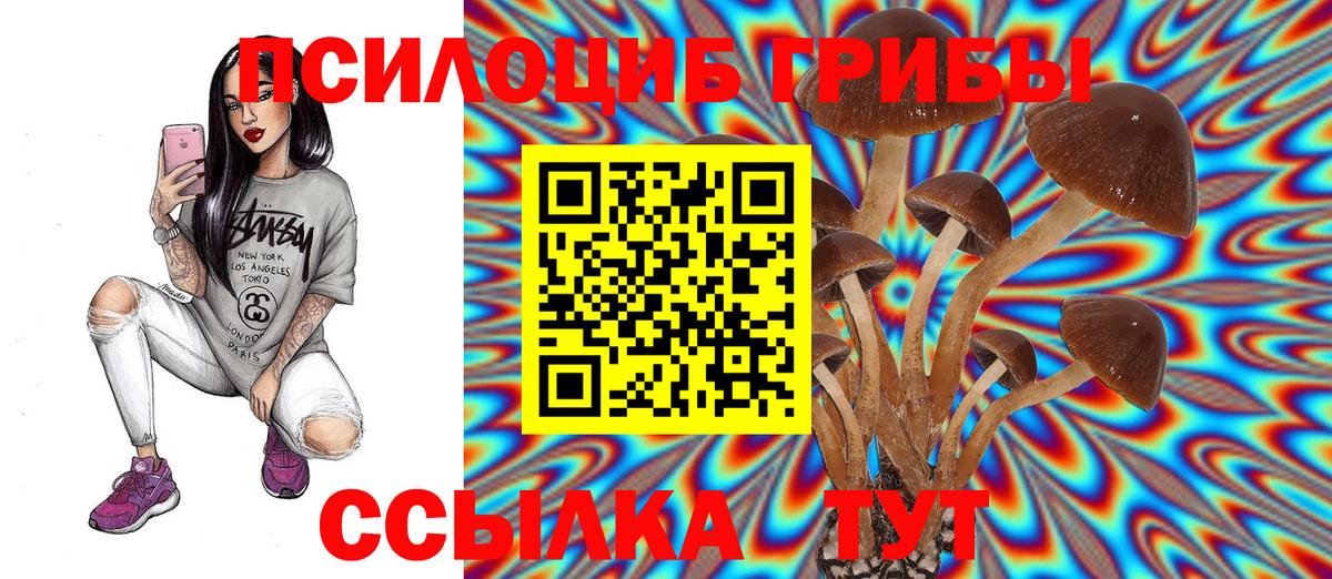 дарнет шоп  Вход с VPN  Назарово  Галлюциногенные грибы Psilocybe 